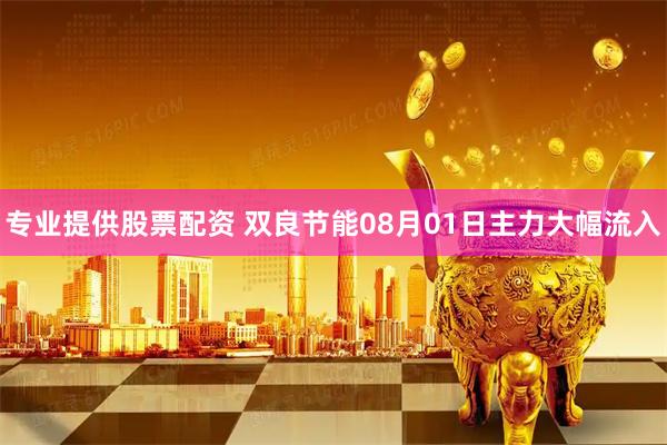 专业提供股票配资 双良节能08月01日主力大幅流入